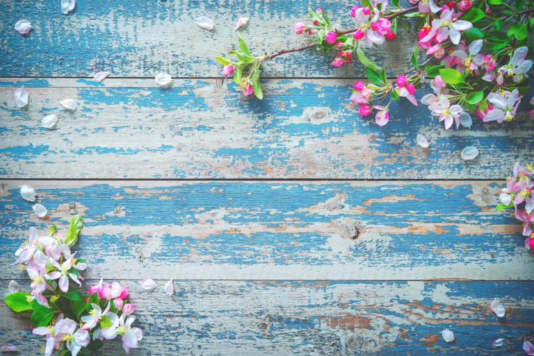 unwashed wood with faded light blue paint and the grey wood showing through. Pink blossoms still attached to greenery is placed on the top right and bottom left corners.
